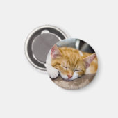 Niedlich Kitten Magnet (Vorderseite/Rückseite)