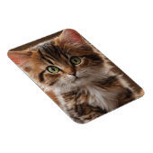 Niedlich Kitten Magnet (Rechte Seite)