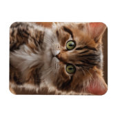 Niedlich Kitten Magnet (Horizontal)