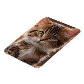 Niedlich Kitten Magnet (Linke Seite)