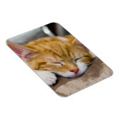 Niedlich Kitten Magnet (Rechte Seite)