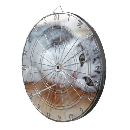 Niedlich Kitten mit String Dartscheibe (Vorderseite rechts)