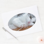 Niedlich Kitten mit String Ovaler Aufkleber (Umschlag)