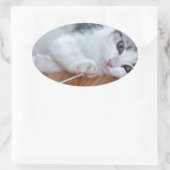 Niedlich Kitten mit String Ovaler Aufkleber (Tasche)