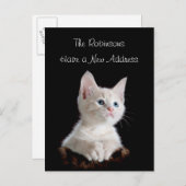 Niedlich Kitten Neue Adresse Ankündigungspostkarte (Vorne/Hinten)