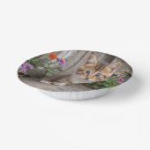 Niedlich Kitten Pappteller (Gewinkelt)