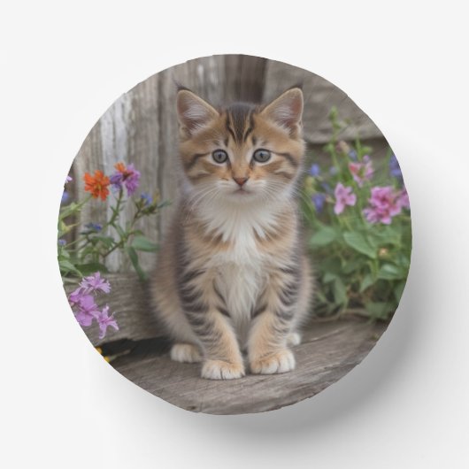 Niedlich Kitten Pappteller (Vorderseite)