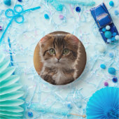 Niedlich Kitten Pappteller (Party)