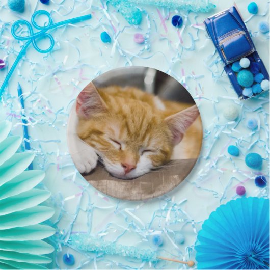 Niedlich Kitten Pappteller (Party)