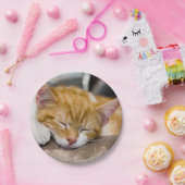 Niedlich Kitten Pappteller (Party)