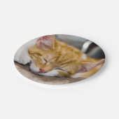 Niedlich Kitten Pappteller (Schrägansicht)