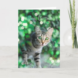 Niedlich Kitten Personalisierte Weihnachtskarte Dankeskarte