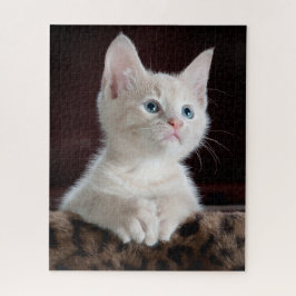 Niedlich Kitten Portrait Puzzle
