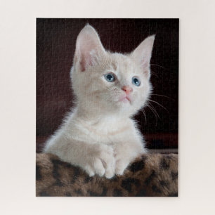 Niedlich Kitten Portrait Puzzle