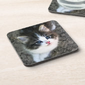 NIEDLICH Kitten Portrait Untersetzer (Linke Seite)