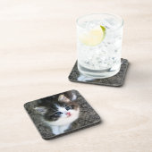 NIEDLICH Kitten Portrait Untersetzer (Rechte Seite)