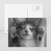 Niedlich Kitten Postkarte (Vorne/Hinten)