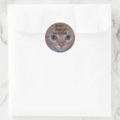 Niedlich Kitten Runder Aufkleber (Tasche)