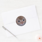 Niedlich Kitten Runder Aufkleber (Umschlag)