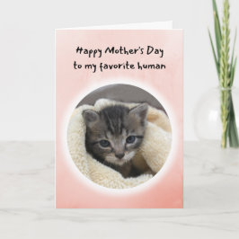 Niedlich Kitten Sie sind mein Lieblingsmüttertag Karte