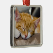 Niedlich Kitten Silbernes Ornament (Rechts)