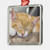Niedlich Kitten Silbernes Ornament (Links)
