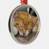 Niedlich Kitten Silbernes Ornament (Rechts)