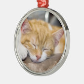 Niedlich Kitten Silbernes Ornament (Links)