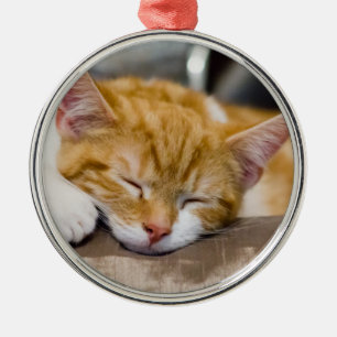 Niedlich Kitten Silbernes Ornament