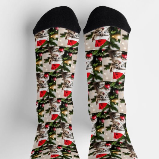 Niedlich Kitten spielt mit der Weihnachtsbaumkatze Socken (Oben)