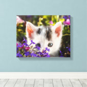 Niedlich Kitten Spring Flowers Garden Cat Foto Leinwanddruck (Insitu (Holzboden))