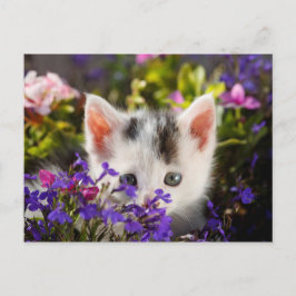 Niedlich Kitten Spring Postkarte