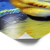 Niedlich Kitten Starry Night Van Gogh Fotodruck (Ecke)