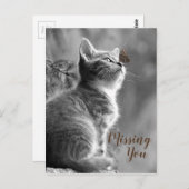 Niedlich Kitten und Butterfly Postkarte (Vorne/Hinten)