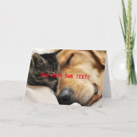 Niedlich Kitten und Welpen fügen Ihren eigenen TEX