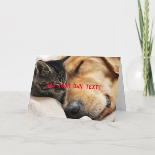 Niedlich Kitten und Welpen fügen Ihren eigenen TEX Karte (Vorderseite)