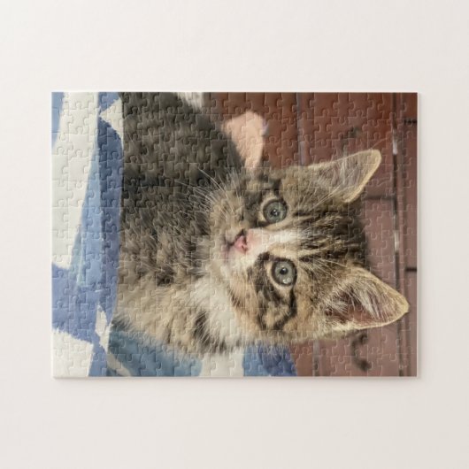 Niedlich Kitten | Verlass dieses Bild oder eigene  Puzzle (Horizontal)