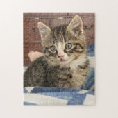 Niedlich Kitten | Verlass dieses Bild oder eigene  Puzzle (Vertikal)