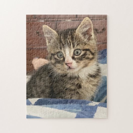 Niedlich Kitten | Verlass dieses Bild oder eigene  Puzzle (Vertikal)