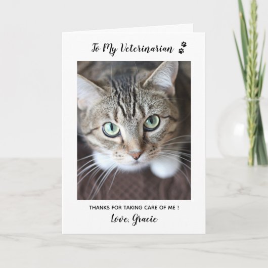 Niedlich Kitten Veterinary Pet Care Cat Pet Foto Dankeskarte (Vorderseite)