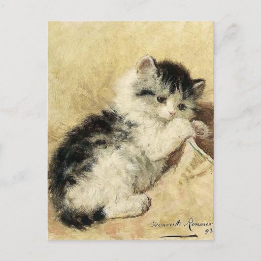 Niedlich Kitten von Ronner Postkarte (Vorderseite)