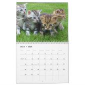 Niedlich Kittens 2025 Bengalisch Tiger Kalender (Mär 2026)