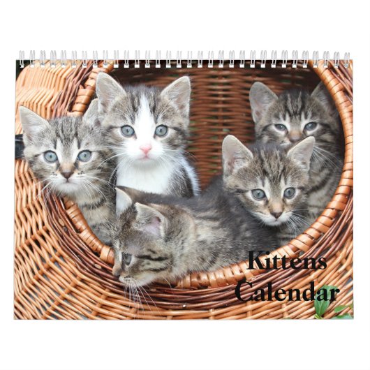 Niedlich Kittens 2025 Bengalisch Tiger Kalender (Titelbild)