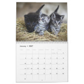 Niedlich Kittens 2025 Bengalisch Tiger Kalender (Jan 2027)