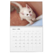 Niedlich Kittens Cat Pet Foto Kalender (Mär 2026)