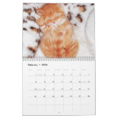 Niedlich Kittens Cat Pet Foto Kalender (Feb 2026)