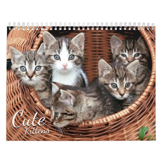 Niedlich Kittens Cat Pet Foto Kalender (Titelbild)