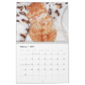 Niedlich Kittens Cat Pet Foto Kalender (Feb 2027)