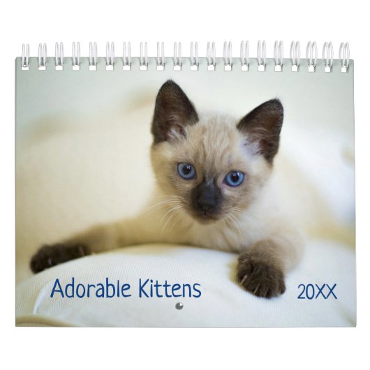 Niedlich Kittens Pet Foto Kalender (Titelbild)