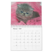 Niedlich Kittens Pet Foto Kalender (Feb 2027)
